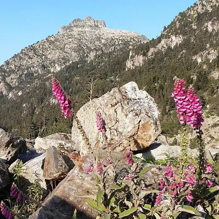 Apartment 2 Pieces Au Centre De - 4 Pers - Fr-1-234-148 *